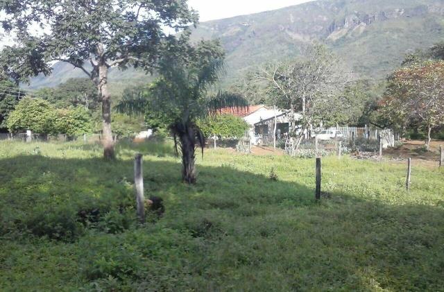Lindo Sítio 20 alqueires em Formosa GO - Foto 7