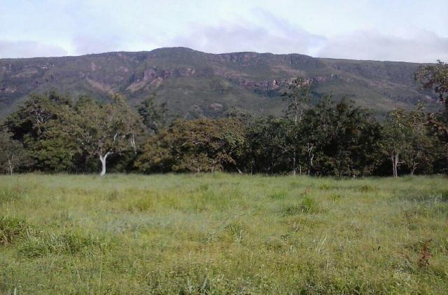 Lindo Sítio 20 alqueires em Formosa GO - Foto 5