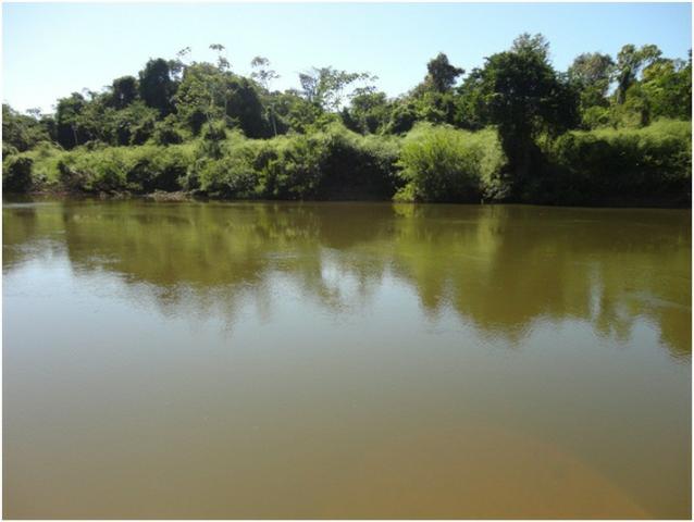 Área de Mato de 140 alqueires, 72 km de Castelo de Sonhos -PA