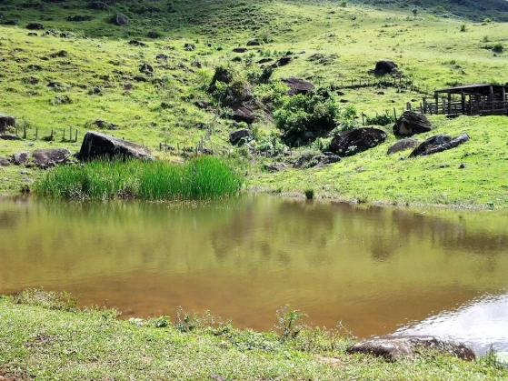 Fazenda em Iguai/BA com 1136 hectares - Foto 14