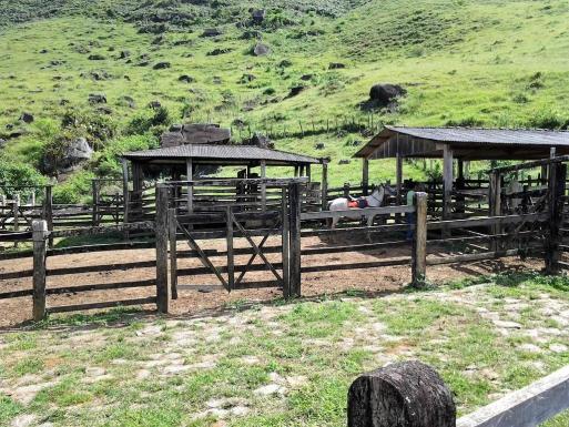 Fazenda em Iguai/BA com 1136 hectares - Foto 20