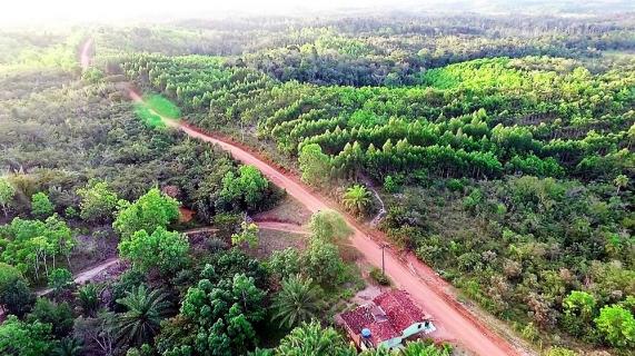 Fazenda em Igrapiuna com acesso ao mar - Foto 7