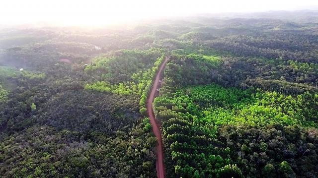 Fazenda em Igrapiuna com acesso ao mar - Foto 10