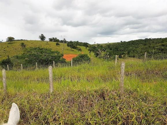 Fazenda 534 has em Tancredo Neves - Foto 15