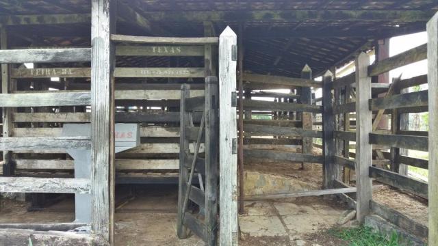 Fazenda 240 has em Tancredo Neves/BA - Foto 19
