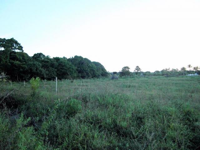 Terreno de 900 mil m2 em Porto Seguro - Foto 13