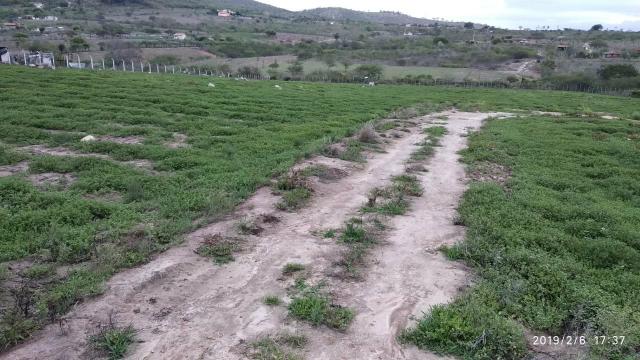 03 Hectares Com Água e Luz Em Chã Grande - PE - Foto 18
