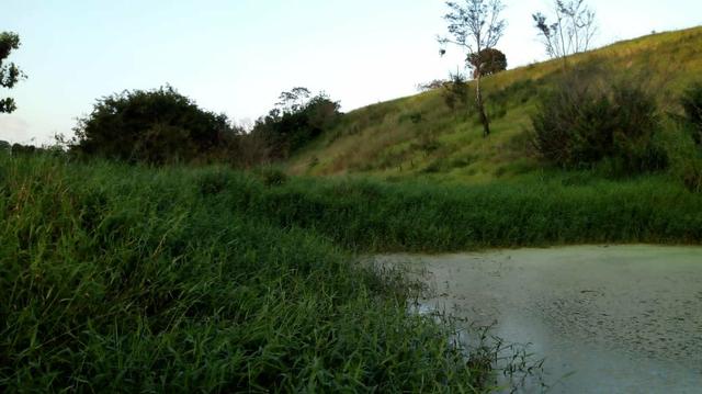 03 Hectares Com Água e Luz Em Chã Grande - PE - Foto 8