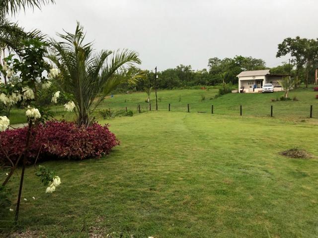 Chácara à venda, 70000 m² por r$ 690.000,00 - zuna rural - coxipó do ouro (cuiabá) - distr - Foto 16