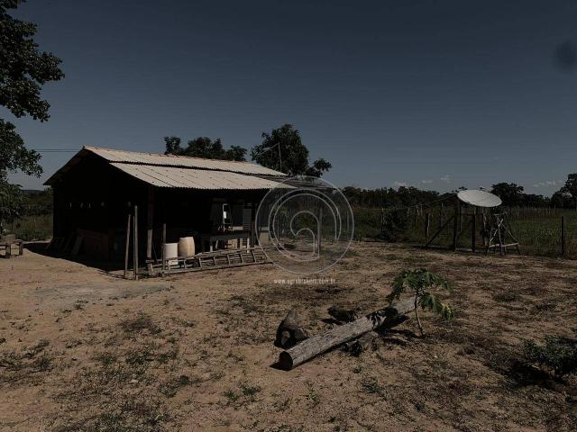 Sítio 23 há ( região capão das antas, sentido jangada) - Foto 16