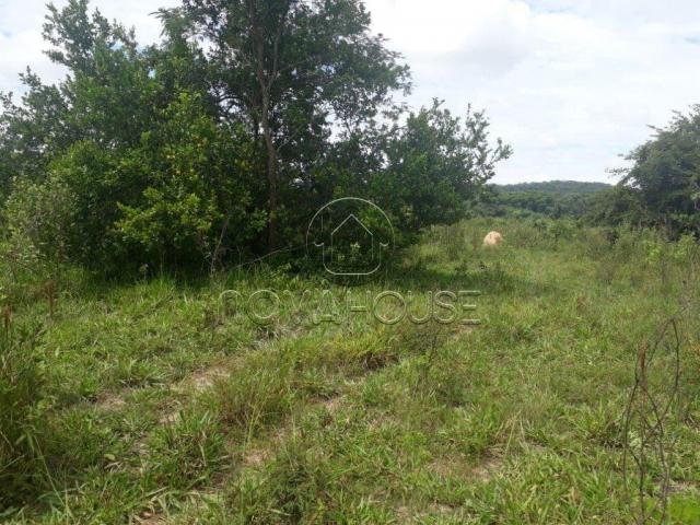 Fazenda rural à venda, centro, itaguaia - . - Foto 7