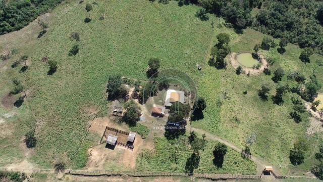 Fazenda 330 ha, região e poconé - Foto 6