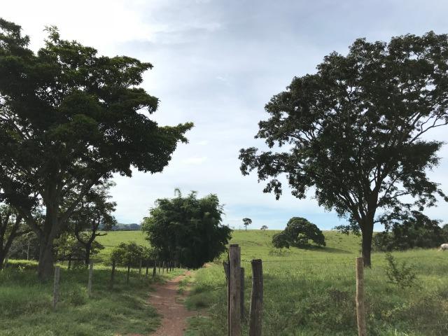 Fazenda 37,3 Alqueires ( 180,85 ha )- Nova Fátima-GO\Hidrolândia-GO - Foto 12
