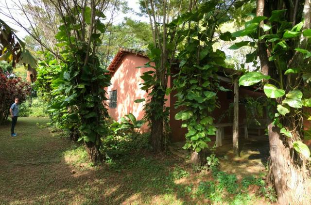Fazenda 37,3 Alqueires ( 180,85 ha )- Nova Fátima-GO\Hidrolândia-GO - Foto 11