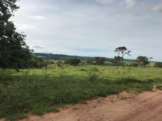 Fazenda 37,3 Alqueires ( 180,85 ha )- Nova Fátima-GO\Hidrolândia-GO - Foto 3
