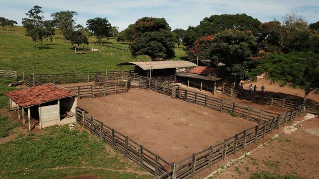 Fazenda 37,3 Alqueires ( 180,85 ha )- Nova Fátima-GO\Hidrolândia-GO