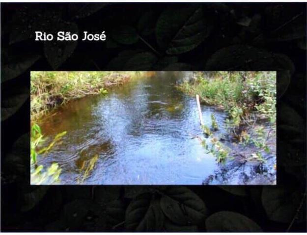 Fazenda na região de Formosa do Rio Preto-BA - Foto 2