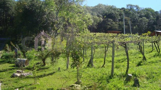 Chácara à venda em Interior, Fazenda souza cod:145 - Foto 9
