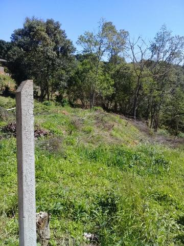 Ref. 2385 - Chácara de 5.854,14 m² com tanque e Luz - Contenda - Foto 10