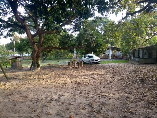 Terreno - Foto 15
