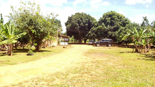 Chácara 20.000m2 incra 9 3km de chão casa simples pomar pode escriturar - Foto 2