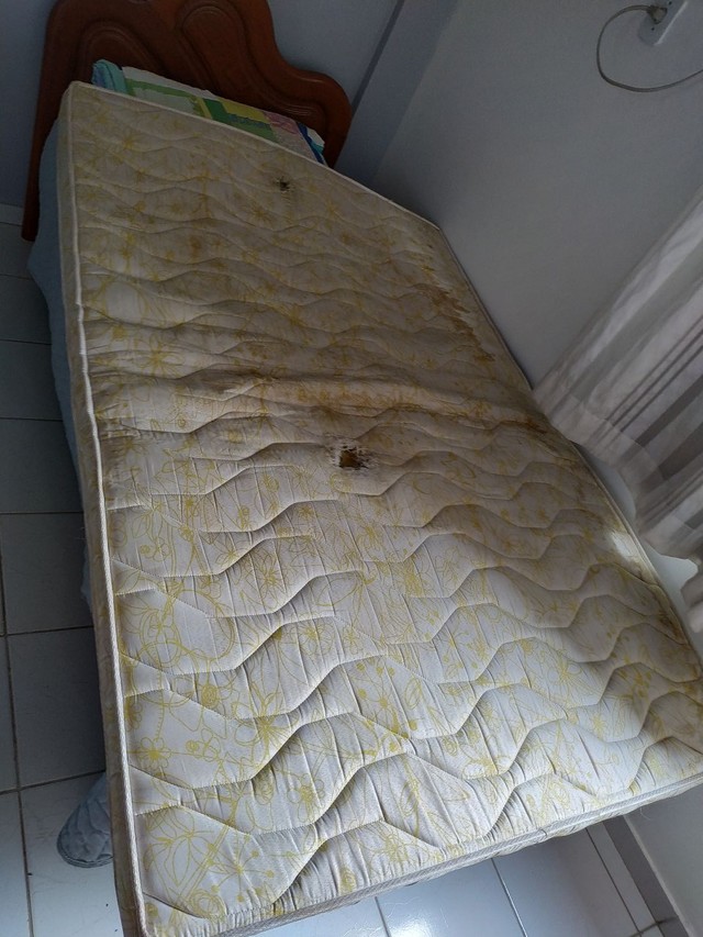 Colchonete de casal | +100 anúncios na OLX Brasil