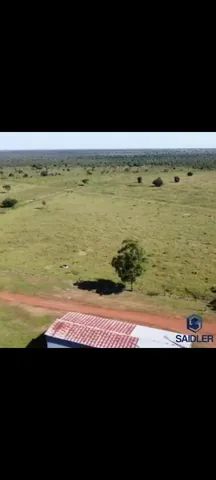  Fazenda 86.580 hectares em São Félix do Araguaia  - Foto 2