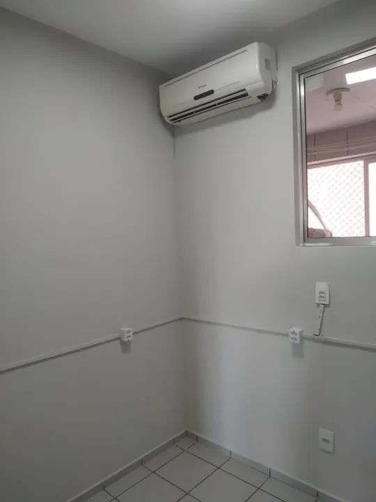 Pinto disponível - Foto 2