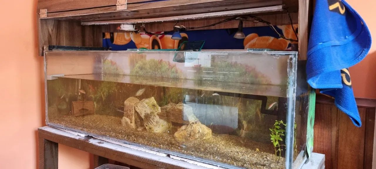 Aquário 220 Litros - Foto 2