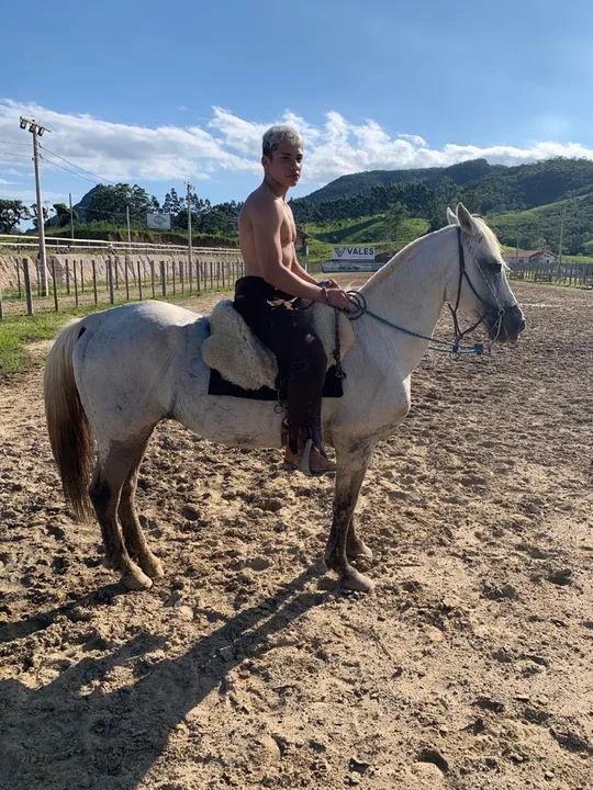 Crioulo bagual confirmado - Foto 3