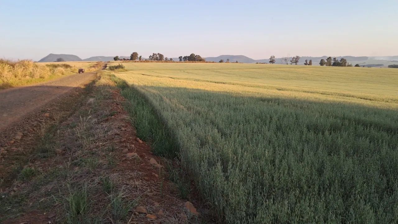 Sítio 18 alqueiro planta 16