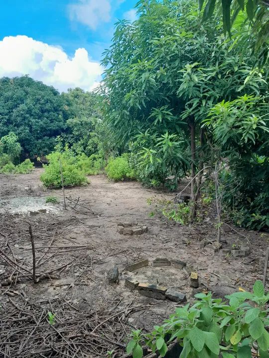 ALUGO TERRENO NO CALHAU 800 METROS QUADRADOS
