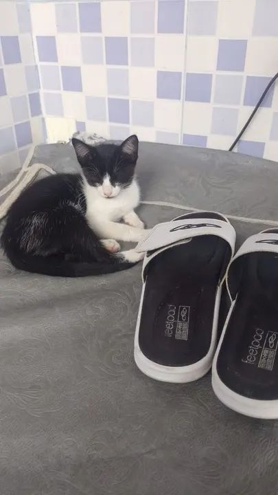 Doação solidária  - Foto 2