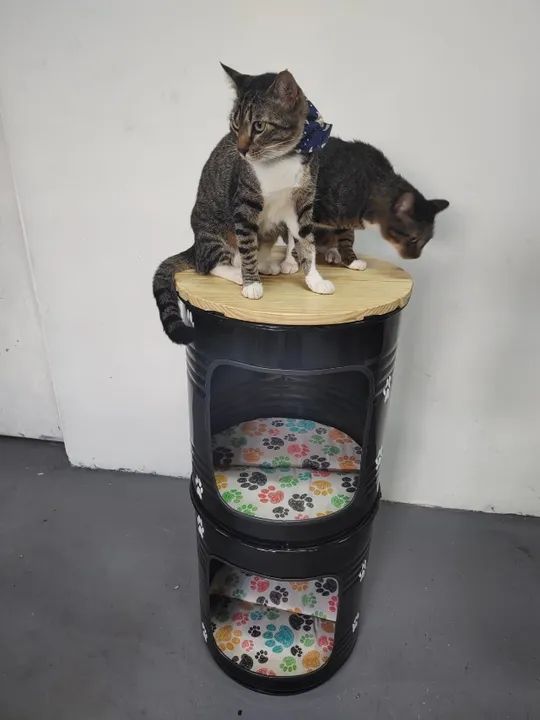 Bistrô em tambores com estante porta objetos ou para seus PETs 
