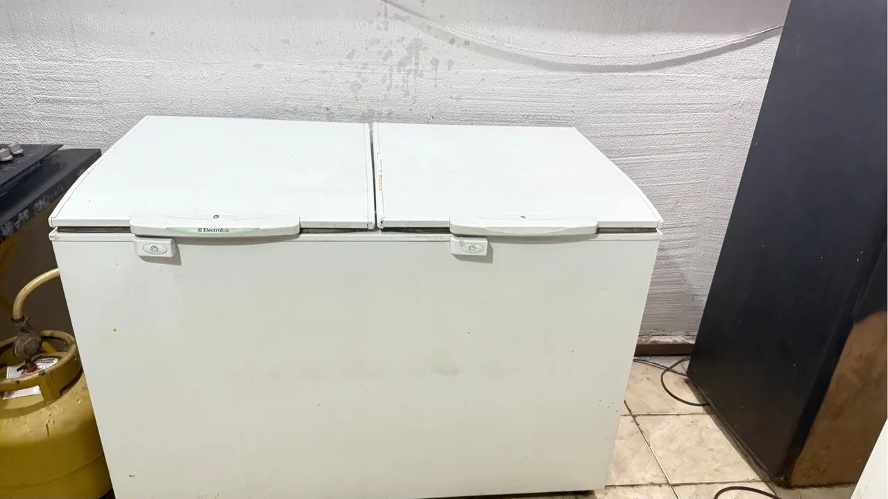 Freezer Horizontal Electrolux Duplo