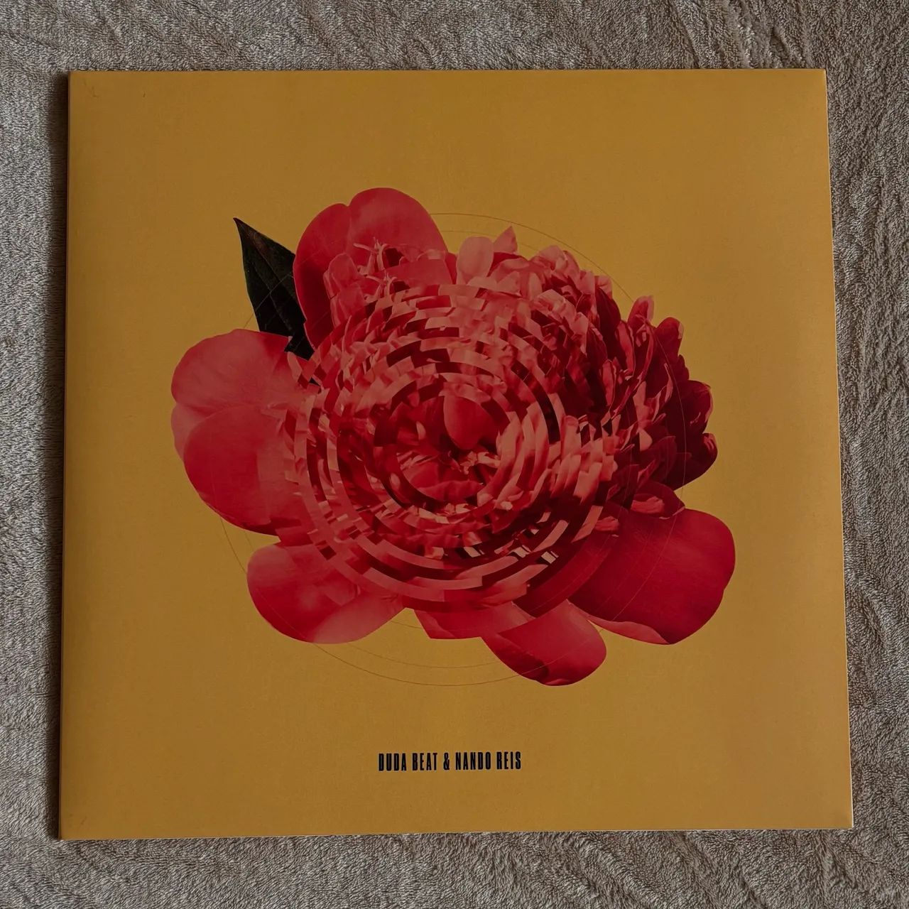 VINIL Duda Beat e Nando Reis (RARO) 