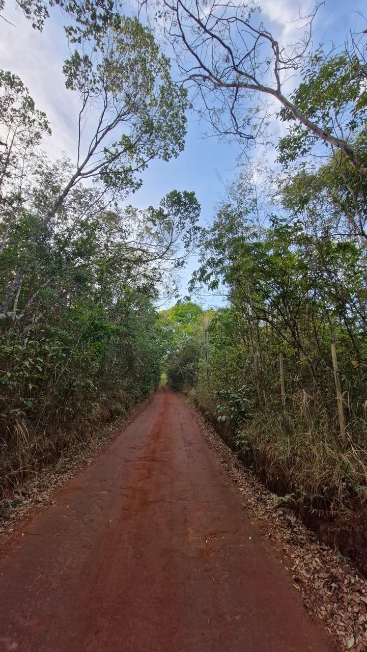 Foto - Lençóis - 