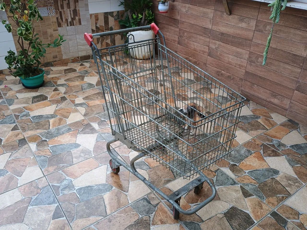 Carrinho de Compras Grande - Foto 3