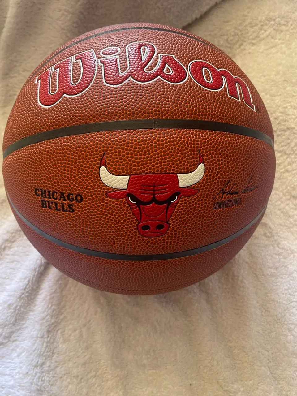 Bola de Basquete Wilson Chicago Bulls