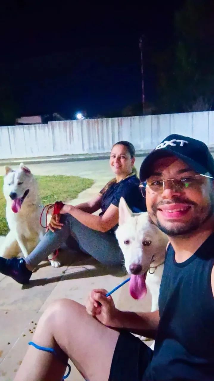 HUSKY SIBERIANO - Foto 6