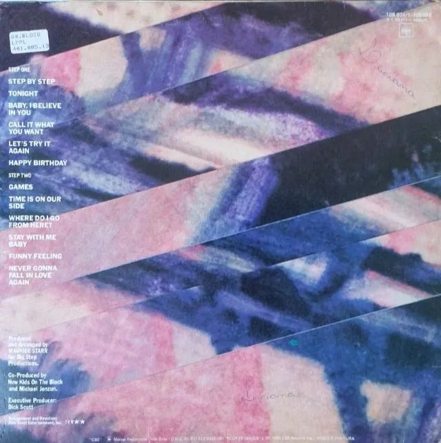 LP New Kids On The Block - STEP BY STEP (1990) - Foto 2