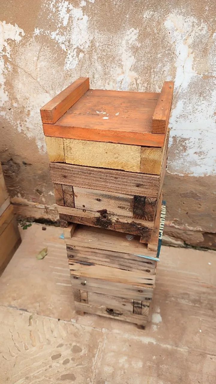 Caixa para abelha Jataí  - Foto 2