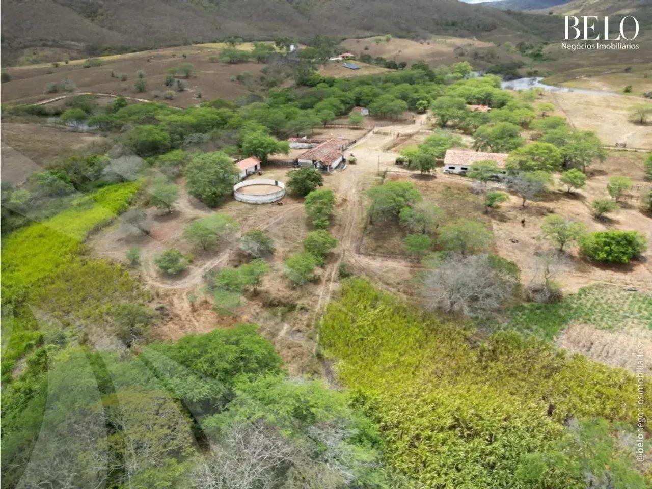 Fazenda com 208 hectares em Pernambuco - Foto 2