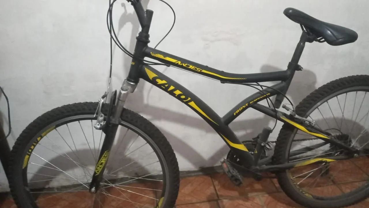 Bicicleta Caloi Andes