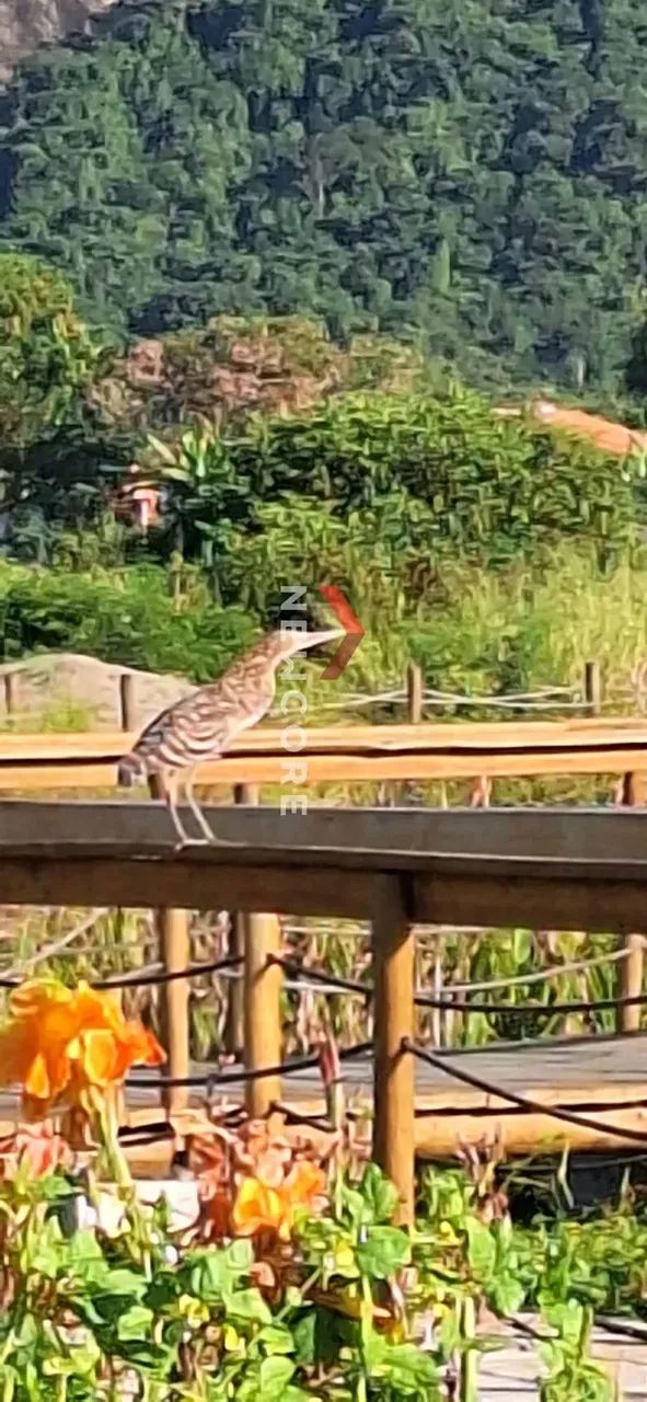 Lote em Rua Taquara - Itaocaia Valley (Itaipuaçu) - Maricá/RJ - Foto 3