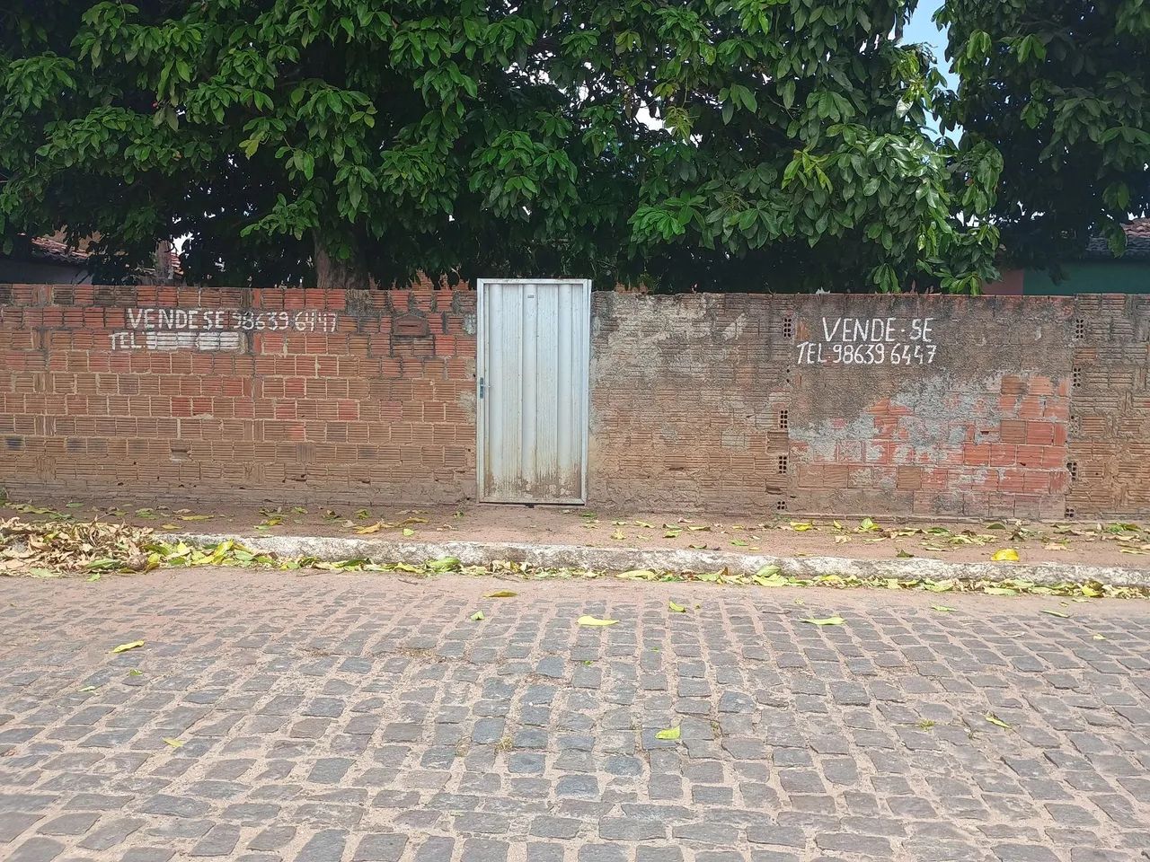 Foto - São Gonçalo do Amarante - Santa Terezinha