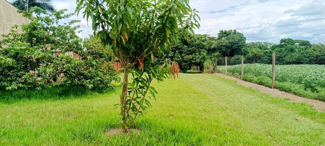 Chácara - Alvorada do Sul - 2440m² - Molhada - Foto 2