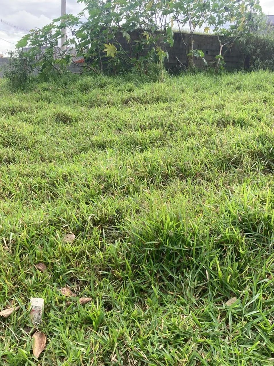 Venda de Terreno em Itaquaquecetuba - Foto 7