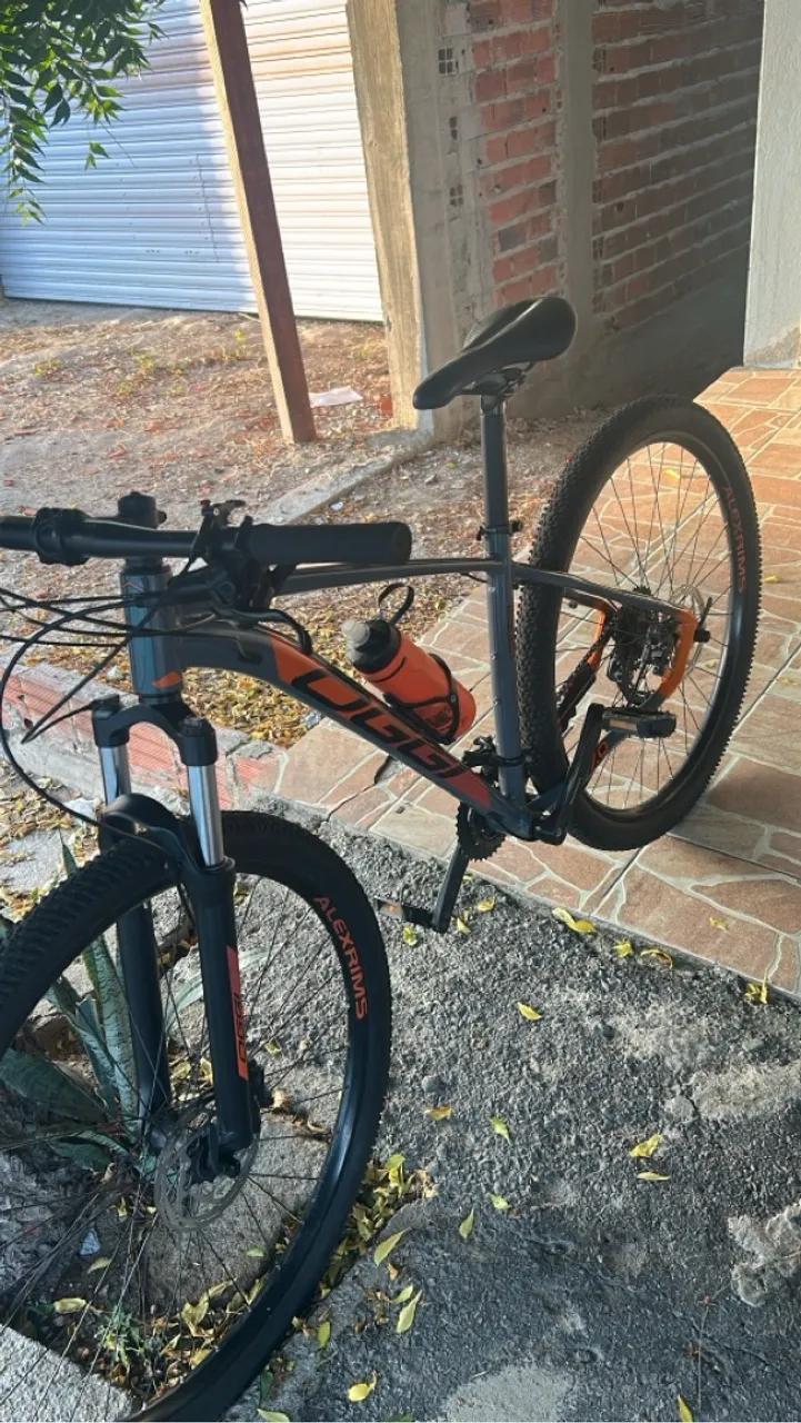 Bike oggi 7.0 2024