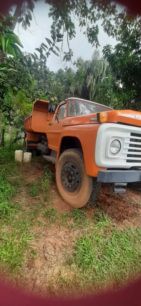 Caminhão F700